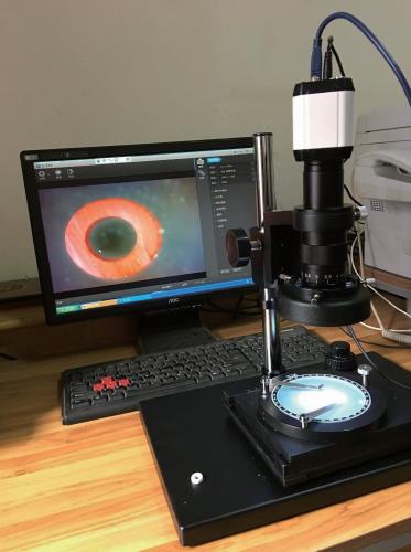 DB-55系列电子低倍投影仪